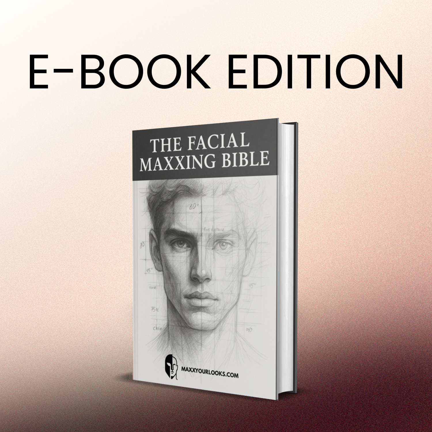 THE FACIAL MAXXING BIBLE
