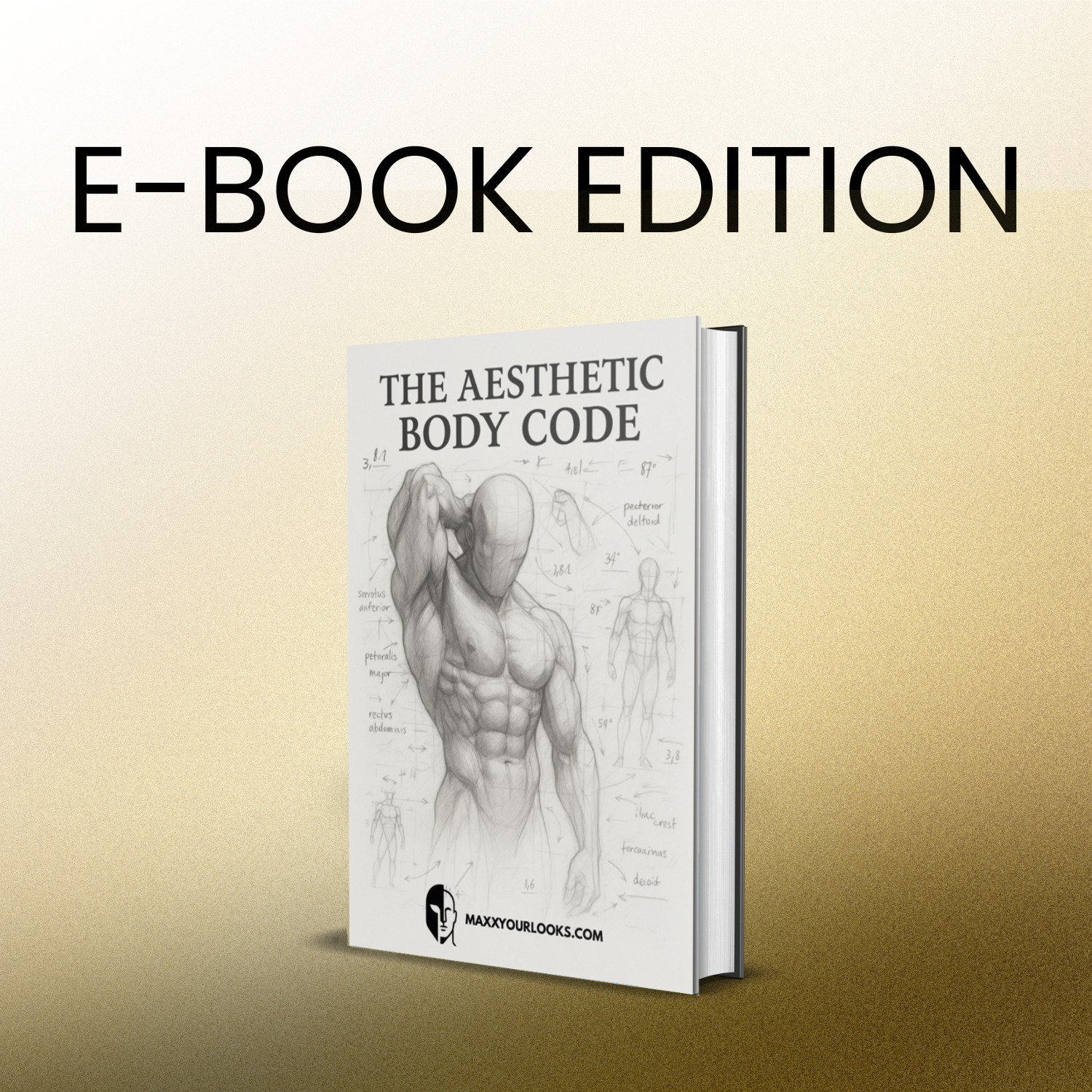 THE AESTHETIC BODY CODE